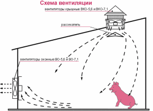 beskanalnaya-1-300x218